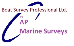 AP Marine Surveys 
