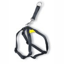 Adult Safety Harness